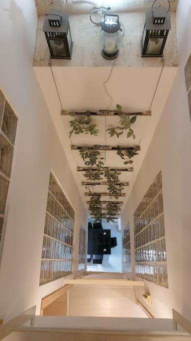 Luxury Complete Building In The Heart Of Sevilla Kültér fotó